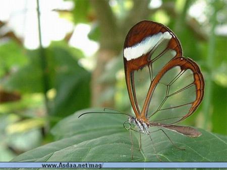 fffffffffaaaaaaarrrrrrrrchhhhhhh